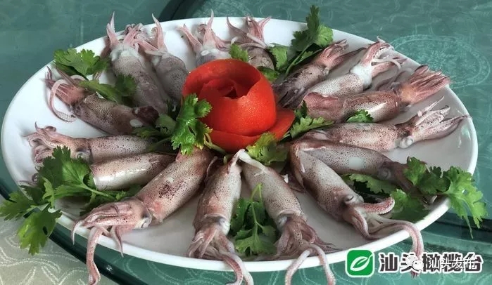 http://www.shantou.gov.cn/cnst/zjshmst/201908/882634b7320d4233a2715fba41ec51df/images/643ad140877b461498127bad782c5016.jpg