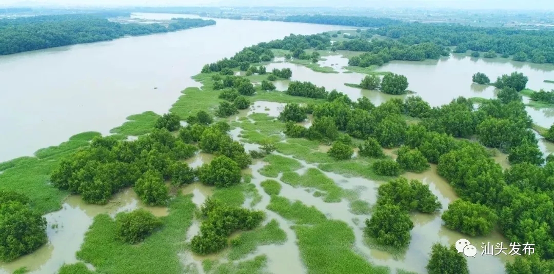 http://www.shantou.gov.cn/cnst/zjshmst/201908/6393d7a8b45947298cc9465075a201ab/images/570fcabf884149bcb3e32b9cf794a1ba.jpg