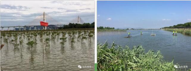 http://www.shantou.gov.cn/cnst/zjshmst/201908/6393d7a8b45947298cc9465075a201ab/images/65c3ec6bf3754b739c06f2834bb97ad2.jpg