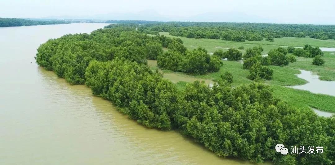 http://www.shantou.gov.cn/cnst/zjshmst/201908/6393d7a8b45947298cc9465075a201ab/images/652fafa07af9447f95a7bb99817afdf3.jpg