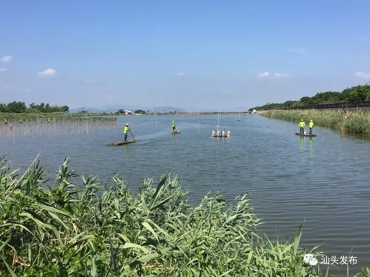 http://www.shantou.gov.cn/cnst/zjshmst/201908/6393d7a8b45947298cc9465075a201ab/images/1549d13045f14605a3a21890d57e3ae7.jpg
