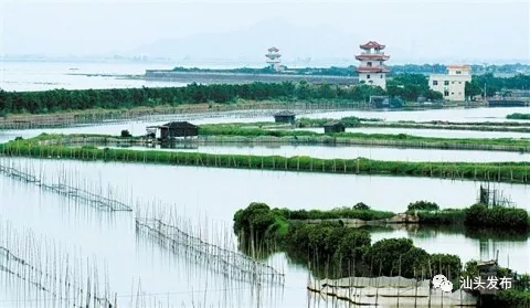 http://www.shantou.gov.cn/cnst/zjshmst/201908/6393d7a8b45947298cc9465075a201ab/images/262de62e6c604c498839e4c4937d9531.jpg