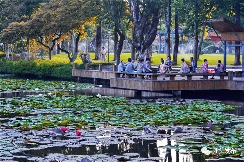 http://www.shantou.gov.cn/cnst/zjshmst/201908/46c90ce7fca6462eb0fe10e7e87f0192/images/e72292e91a3d41dd95c6bfa18a449035.jpg