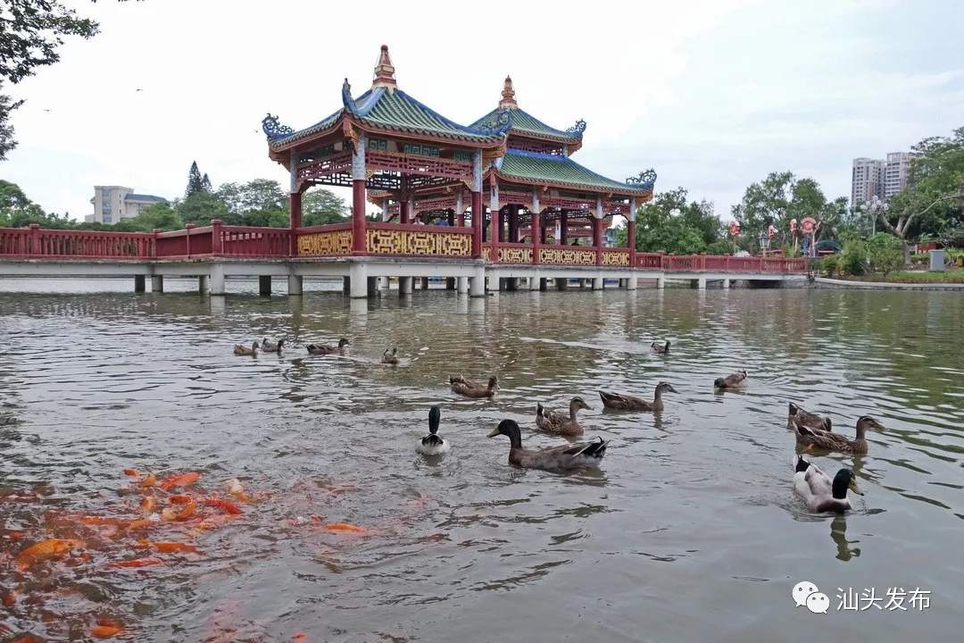 http://www.shantou.gov.cn/cnst/zjshmst/201908/46c90ce7fca6462eb0fe10e7e87f0192/images/e85f2ad37dd94cdb9b1957b659e790be.jpg