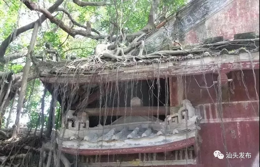http://www.shantou.gov.cn/cnst/zjshmst/201908/46c90ce7fca6462eb0fe10e7e87f0192/images/16b7352e79fa4feeb53073f764b45c92.jpg