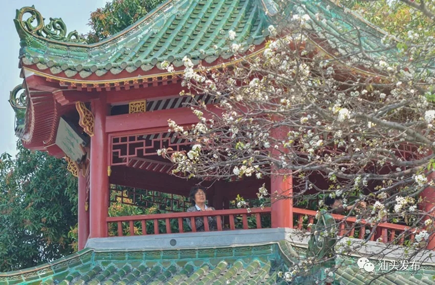 http://www.shantou.gov.cn/cnst/zjshmst/201908/46c90ce7fca6462eb0fe10e7e87f0192/images/4e2c161d22a848d58597493e7a5a8fe3.jpg