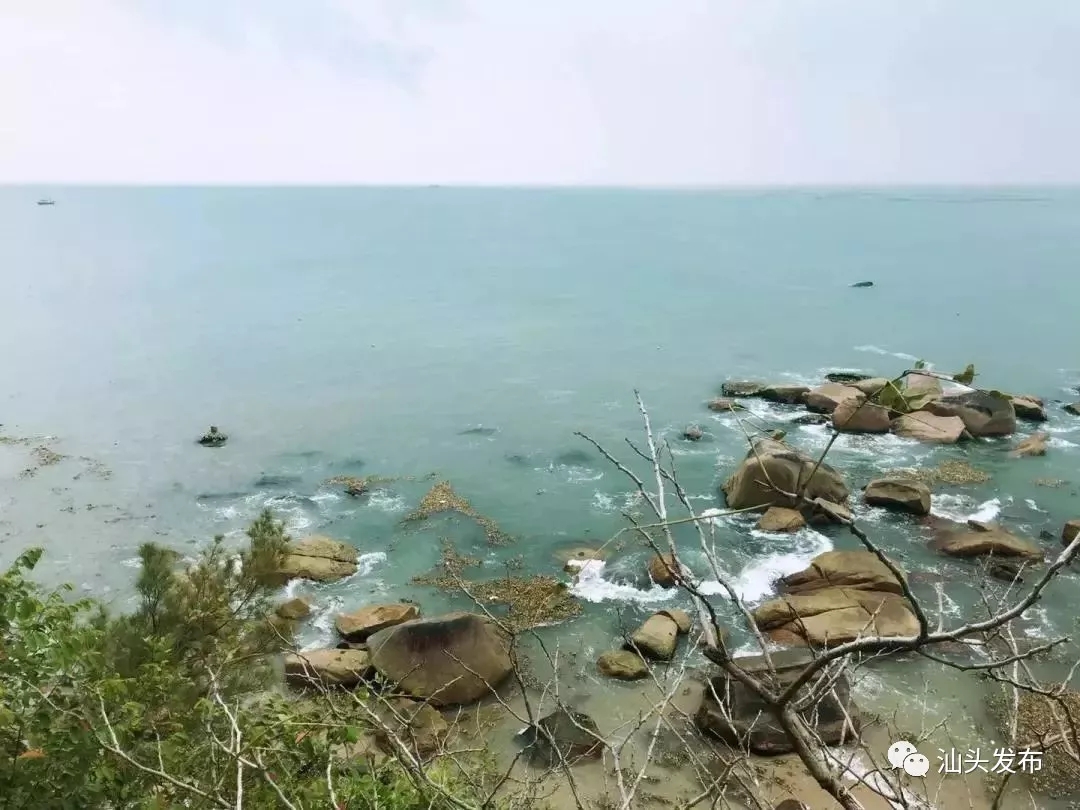 http://www.shantou.gov.cn/cnst/zjshmst/201908/16b4b9e662e241a3bd8ce3a1af6ce14c/images/3feb4cbccc3d49c0942483c6fa06cc04.jpg