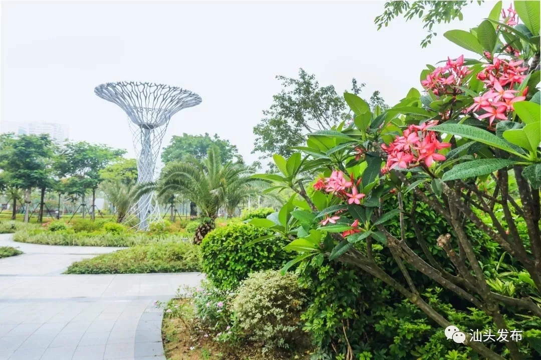 http://www.shantou.gov.cn/cnst/zjshmst/201908/5f72ac7206c0409dbd6c081b719651b6/images/2fdff965930d44088144869fc7a62746.jpg