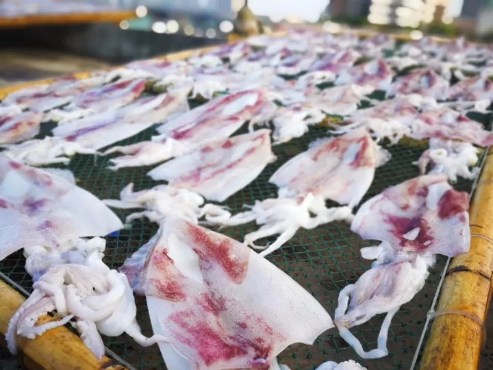 http://www.shantou.gov.cn/cnst/zjshmst/201908/11cb42226f6e452f8f3609d9505d7272/images/2711be23fcaa4a09967e09dabc0cba4d.jpg