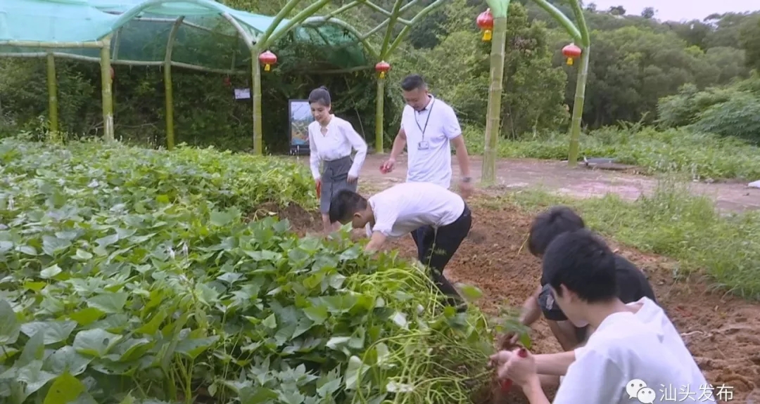 http://www.shantou.gov.cn/cnst/zjshmst/201908/97d8568301834bc9ae37270682468fad/images/755e0b8a8a634a619e4ca962f25b7105.jpg