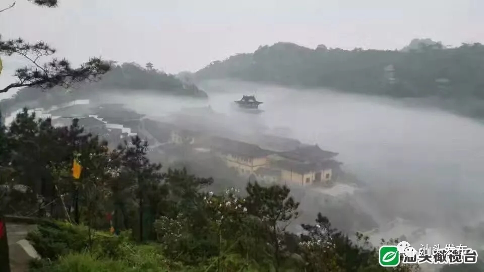 http://www.shantou.gov.cn/cnst/zjshmst/201908/f973bbeddca84764ad506ffacb785f4a/images/26e7ddd26bf645739e24d358418b0f19.jpg
