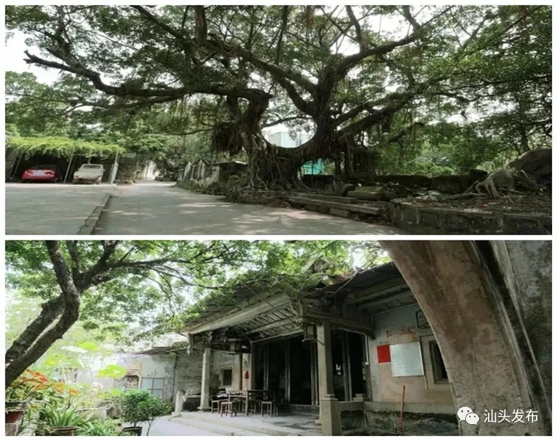 http://www.shantou.gov.cn/cnst/zjshmst/201907/18b647b25f954ca39d16009bb56f1598/images/e929916f538646d7a8f8607e15174e47.jpg