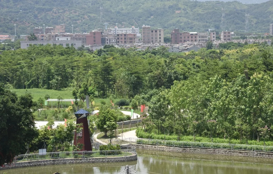 http://www.shantou.gov.cn/cnst/zjshmst/201908/ffaf7fc1804d4432a7fefaa1e8402784/images/b8ea38a9a3c54a028d0945b8c083fa3d.jpg