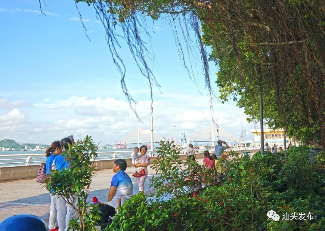http://www.shantou.gov.cn/cnst/zjshmst/201908/a11c9acbc7454f2daa6b2ce1a1a2e1dc/images/b014d4f32b574461b1091d22c69bbc16.jpg