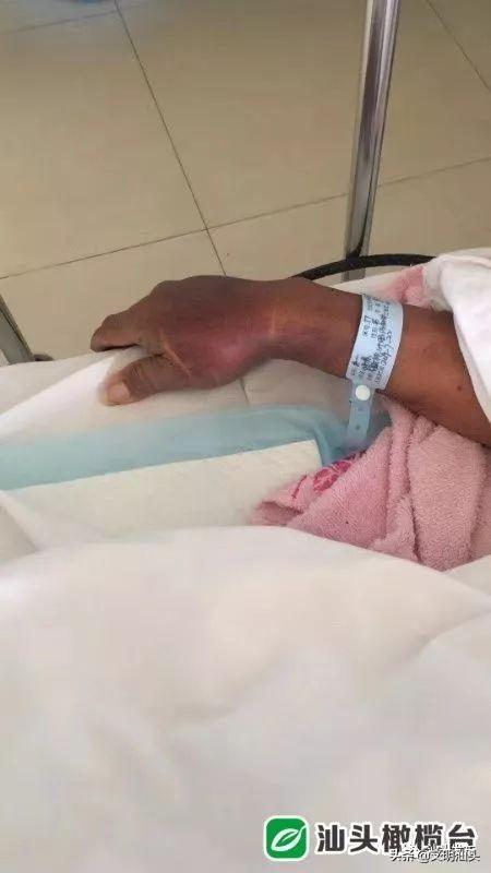 【这就是和美汕头】这些动人的故事、身边的感动，让汕头发光发亮